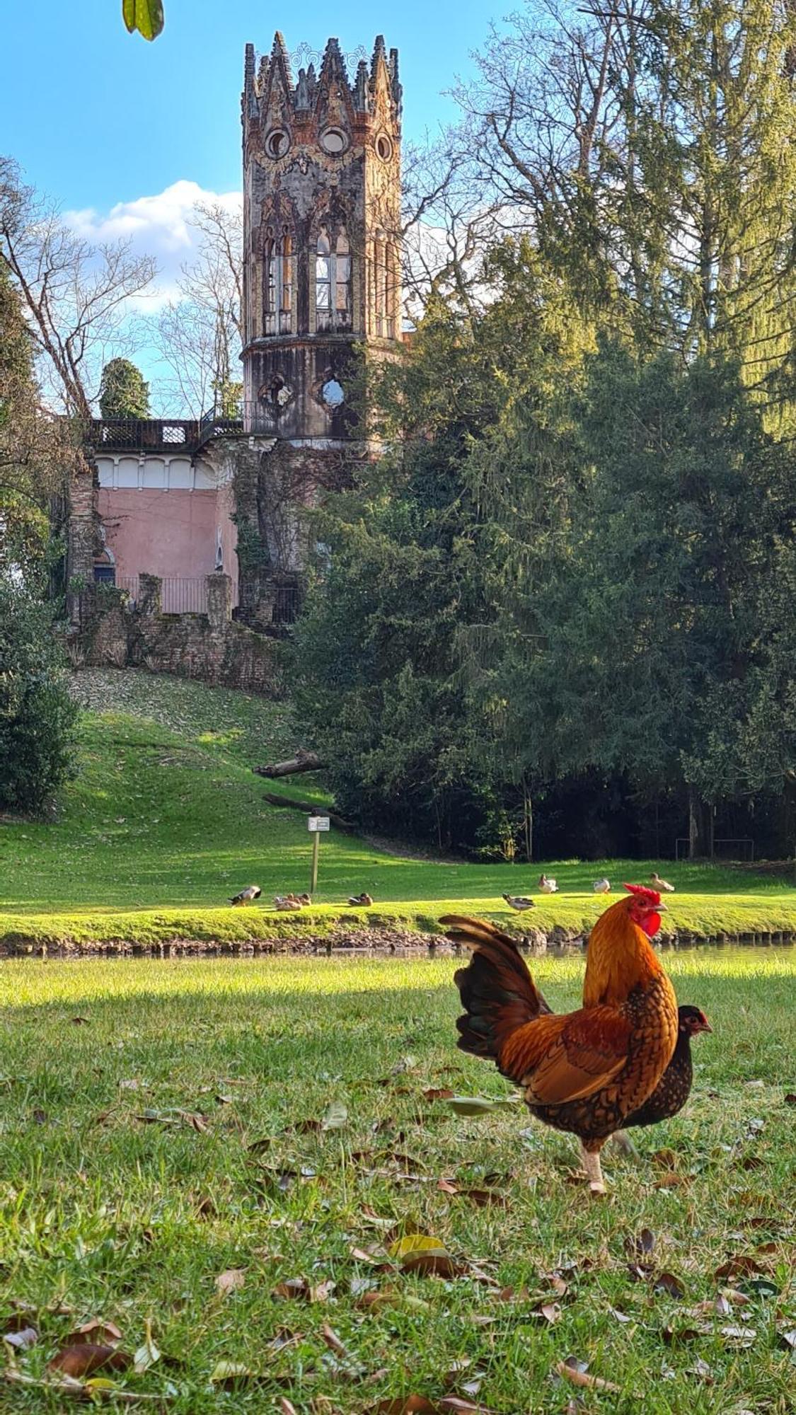 Apartmán Casa Ani Mirano Exteriér fotografie